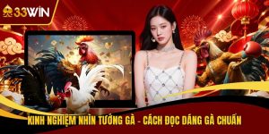 Kinh Nghiệm Nhìn Tướng Gà