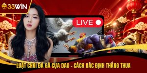 Luật Chơi Đá Gà Cựa Dao