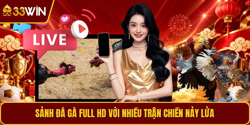 Sảnh đá gà full HD với nhiều trận chiến nảy lửa