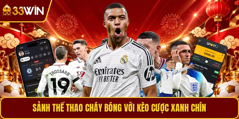 Sảnh thể thao cháy bóng với kèo cược xanh chín